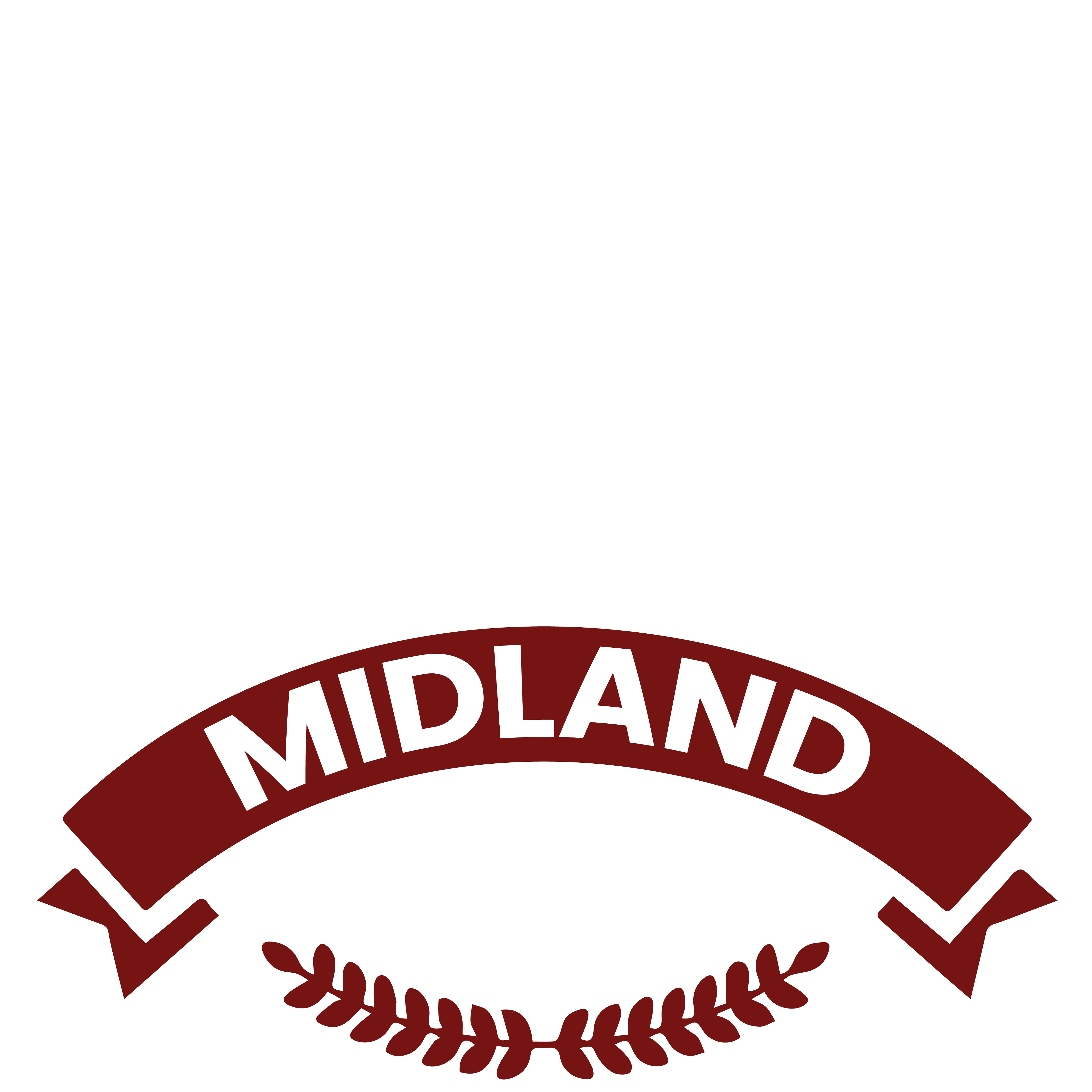 Midland_College_Multan